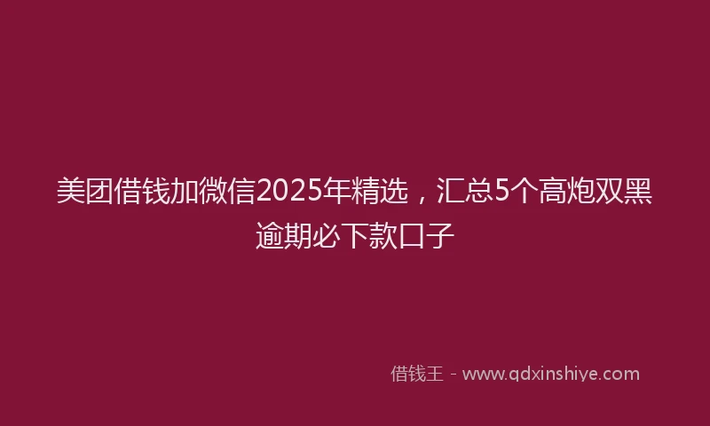美团借钱加微信2025年精选，汇总5个高炮双黑逾期必下款口子