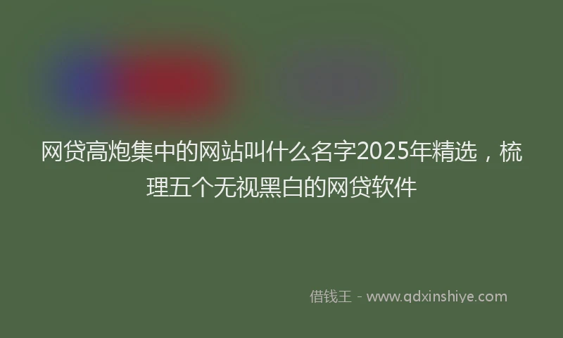 网贷高炮集中的网站叫什么名字2025年精选，梳理五个无视黑白的网贷软件
