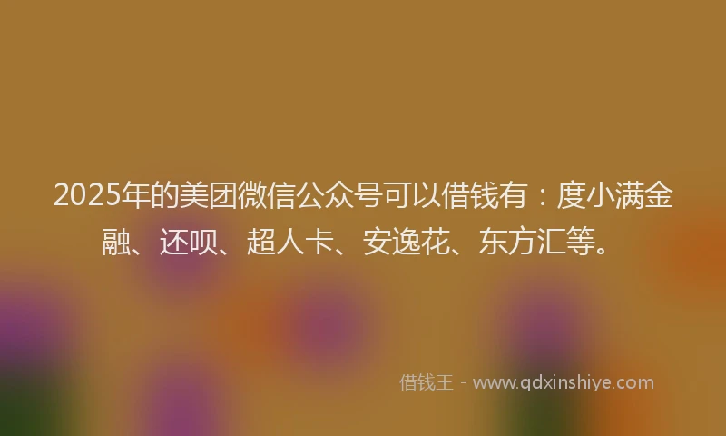 2025年的美团微信公众号可以借钱有：度小满金融、还呗、超人卡、安逸花、东方汇等。