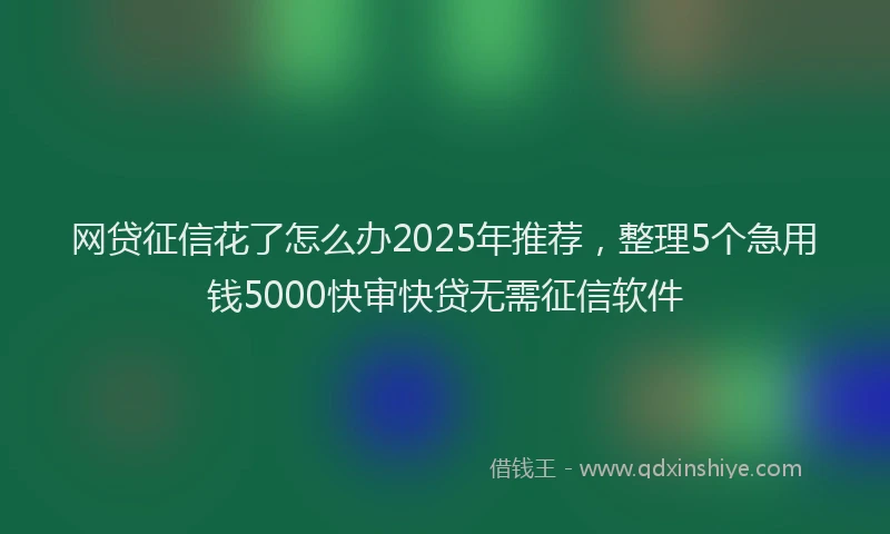 网贷征信花了怎么办2025年推荐，整理5个急用钱5000快审快贷无需征信软件