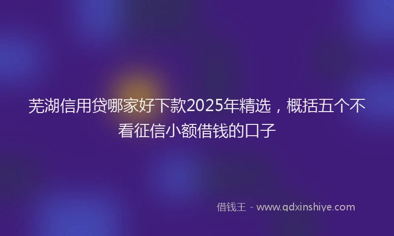 芜湖信用贷哪家好下款2025年精选，概括五个不看征信小额借钱的口子