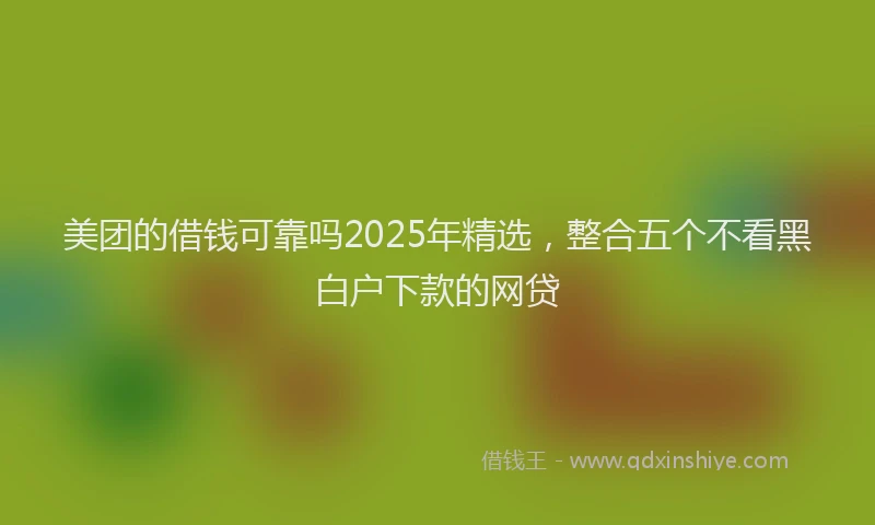 美团的借钱可靠吗2025年精选，整合五个不看黑白户下款的网贷