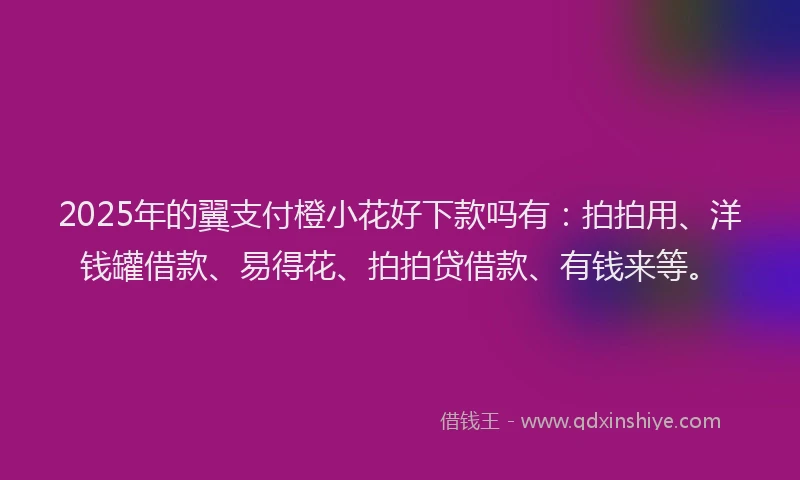 2025年的翼支付橙小花好下款吗有：拍拍用、洋钱罐借款、易得花、拍拍贷借款、有钱来等。