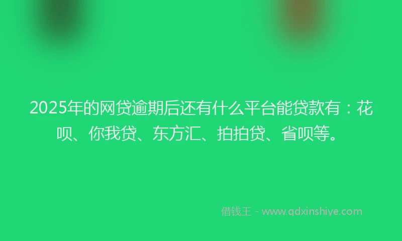 2025年的网贷逾期后还有什么平台能贷款有：花呗、你我贷、东方汇、拍拍贷、省呗等。