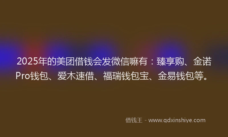 2025年的美团借钱会发微信嘛有：臻享购、金诺Pro钱包、爱木速借、福瑞钱包宝、金易钱包等。