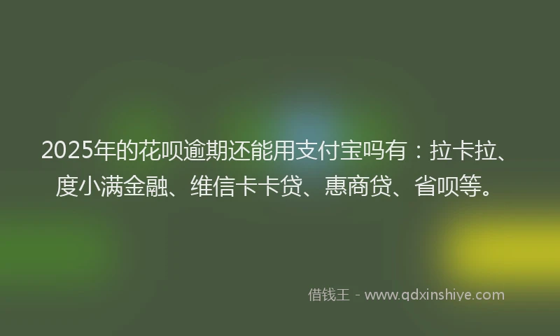 2025年的花呗逾期还能用支付宝吗有：拉卡拉、度小满金融、维信卡卡贷、惠商贷、省呗等。