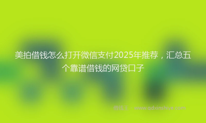 美拍借钱怎么打开微信支付2025年推荐，汇总五个靠谱借钱的网贷口子