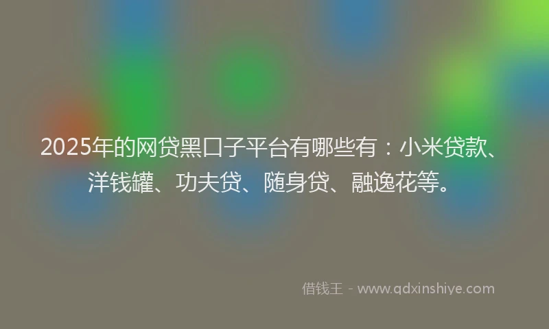 2025年的网贷黑口子平台有哪些有：小米贷款、洋钱罐、功夫贷、随身贷、融逸花等。