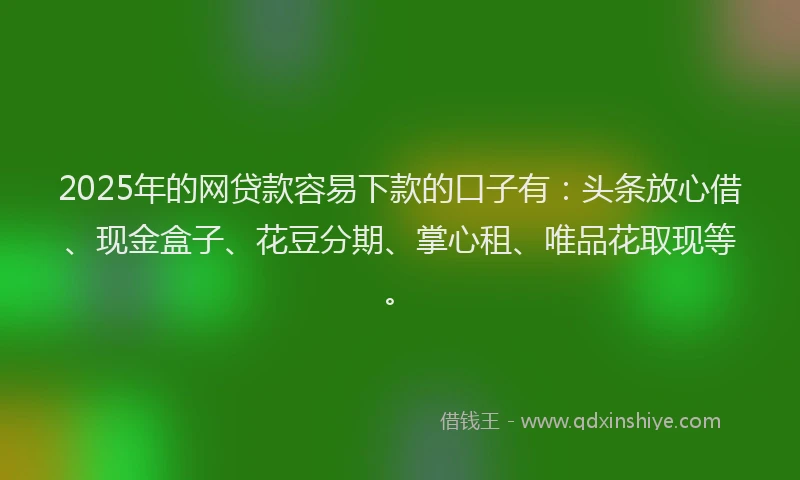 2025年的网贷款容易下款的口子有：头条放心借、现金盒子、花豆分期、掌心租、唯品花取现等。