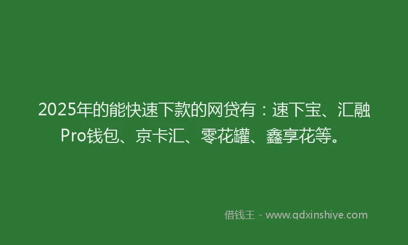 2025年的能快速下款的网贷有：速下宝、汇融Pro钱包、京卡汇、零花罐、鑫享花等。
