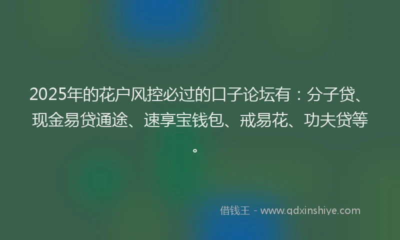2025年的花户风控必过的口子论坛有：分子贷、现金易贷通途、速享宝钱包、戒易花、功夫贷等。