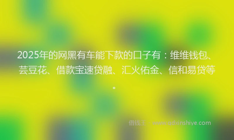 2025年的网黑有车能下款的口子有：维维钱包、芸豆花、借款宝速贷融、汇火佑金、信和易贷等。