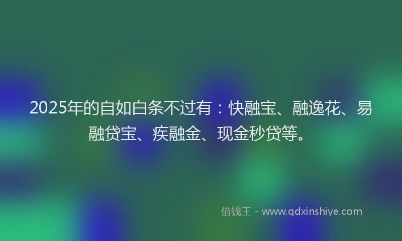 2025年的自如白条不过有：快融宝、融逸花、易融贷宝、疾融金、现金秒贷等。