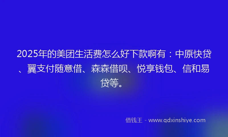 2025年的美团生活费怎么好下款啊有：中原快贷、翼支付随意借、森森借呗、悦享钱包、信和易贷等。