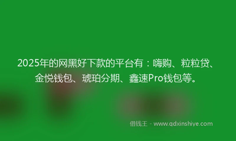2025年的网黑好下款的平台有：嗨购、粒粒贷、金悦钱包、琥珀分期、鑫速Pro钱包等。