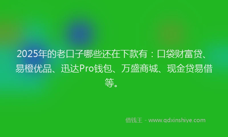 2025年的老口子哪些还在下款有：口袋财富贷、易橙优品、迅达Pro钱包、万盛商城、现金贷易借等。