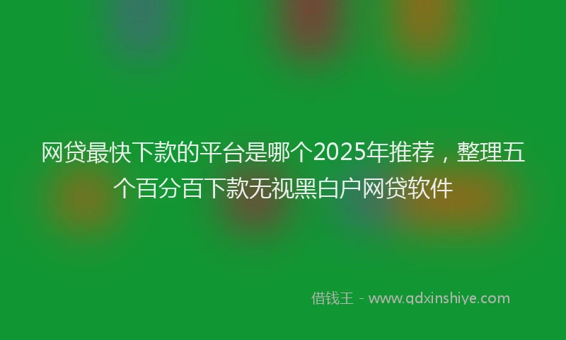 网贷最快下款的平台是哪个2025年推荐，整理五个百分百下款无视黑白户网贷软件
