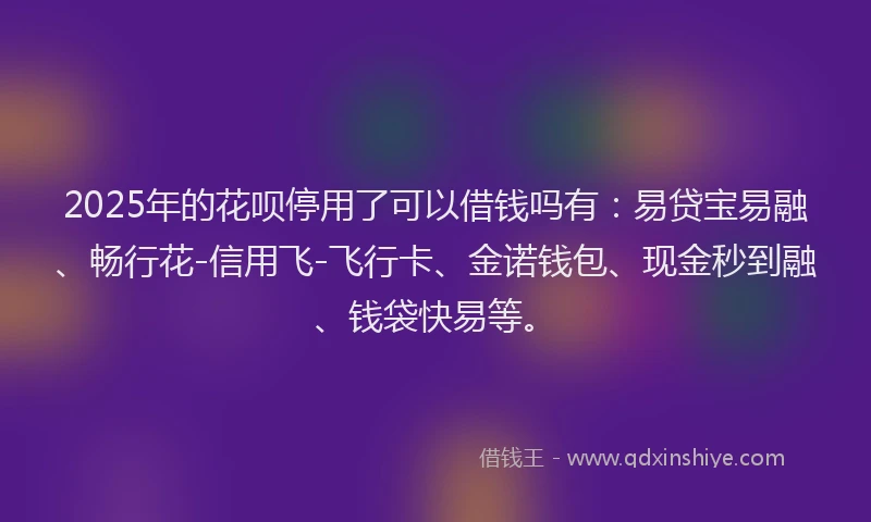 2025年的花呗停用了可以借钱吗有：易贷宝易融、畅行花-信用飞-飞行卡、金诺钱包、现金秒到融、钱袋快易等。
