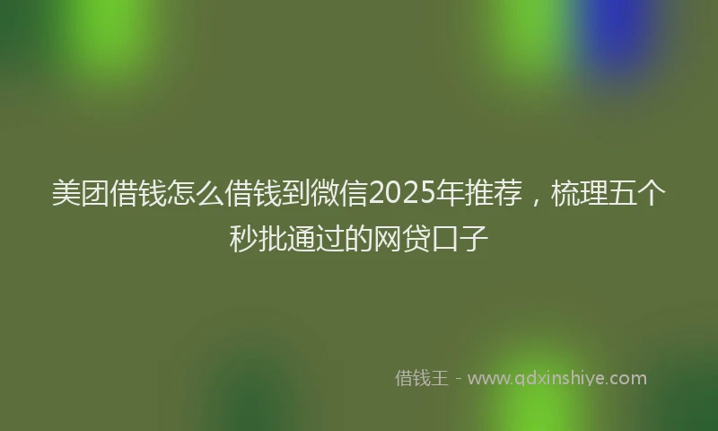 美团借钱怎么借钱到微信2025年推荐，梳理五个秒批通过的网贷口子
