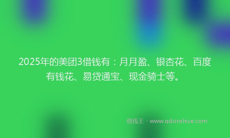 2025年的美团3借钱有：月月盈、银杏花、百度有钱花、易贷通宝、现金骑士等。