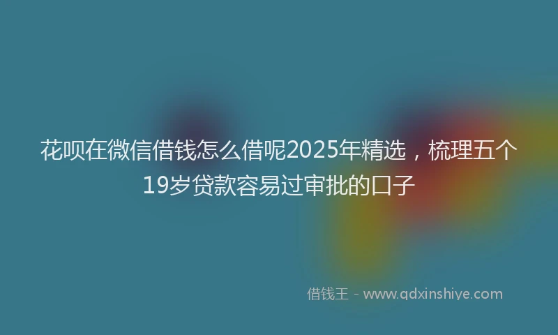 花呗在微信借钱怎么借呢2025年精选，梳理五个19岁贷款容易过审批的口子
