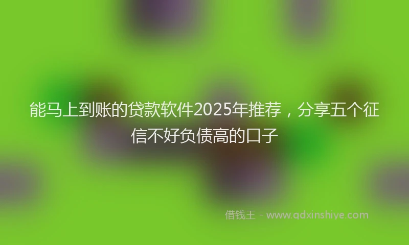 能马上到账的贷款软件2025年推荐，分享五个征信不好负债高的口子