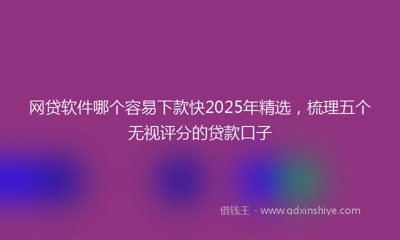 网贷软件哪个容易下款快2025年精选，梳理五个无视评分的贷款口子