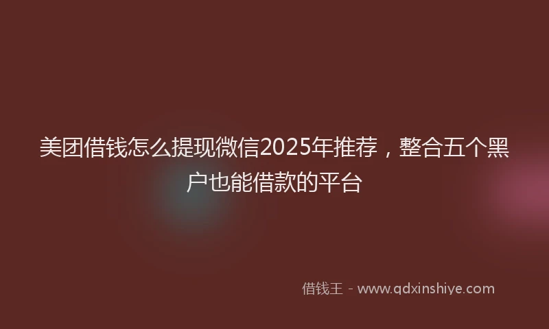 美团借钱怎么提现微信2025年推荐，整合五个黑户也能借款的平台