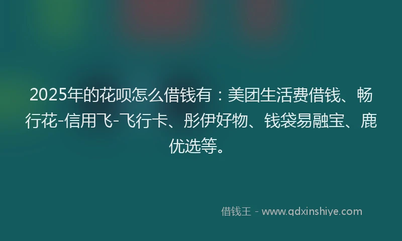2025年的花呗怎么借钱有：美团生活费借钱、畅行花-信用飞-飞行卡、彤伊好物、钱袋易融宝、鹿优选等。