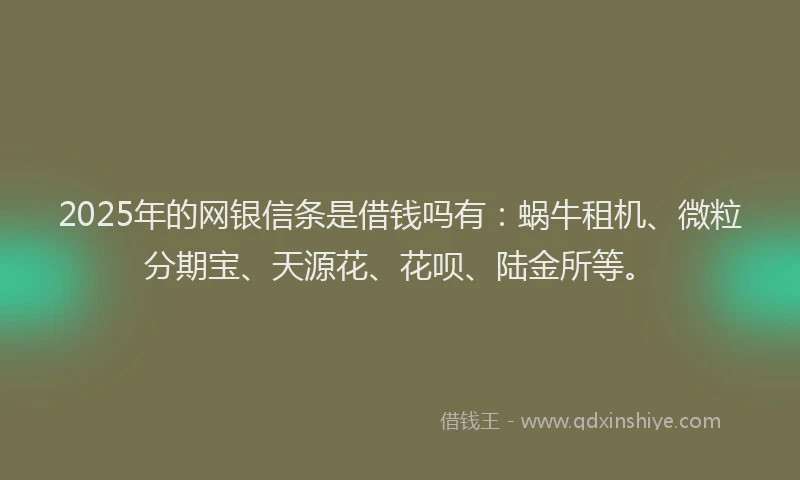 2025年的网银信条是借钱吗有：蜗牛租机、微粒分期宝、天源花、花呗、陆金所等。