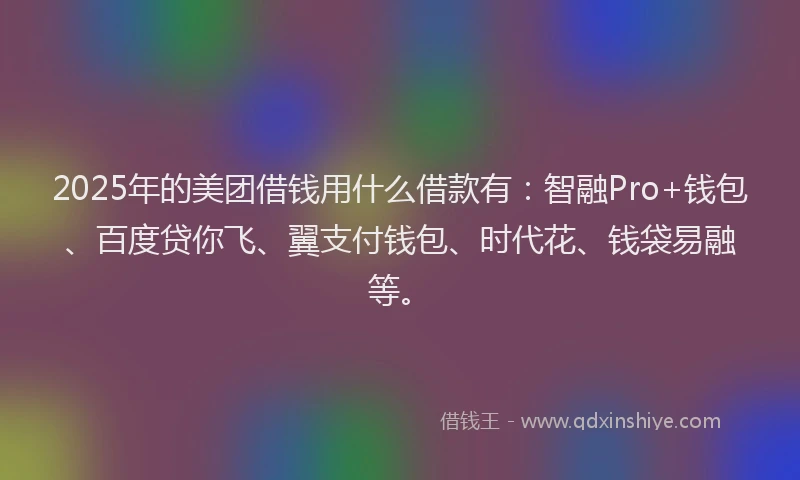 2025年的美团借钱用什么借款有：智融Pro+钱包、百度贷你飞、翼支付钱包、时代花、钱袋易融等。