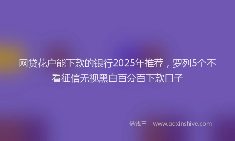 网贷花户能下款的银行2025年推荐，罗列5个不看征信无视黑白百分百下款口子