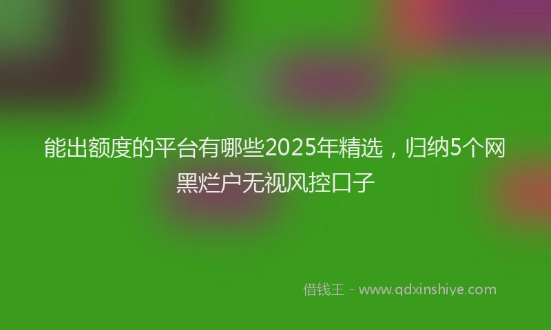 能出额度的平台有哪些2025年精选，归纳5个网黑烂户无视风控口子