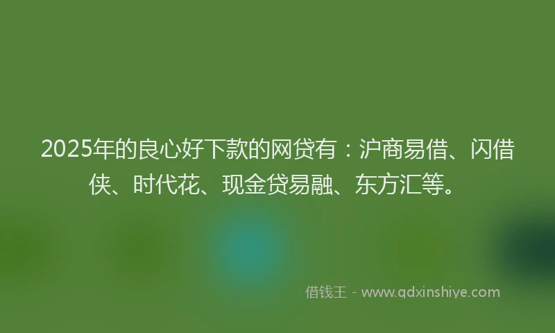 2025年的良心好下款的网贷有：沪商易借、闪借侠、时代花、现金贷易融、东方汇等。