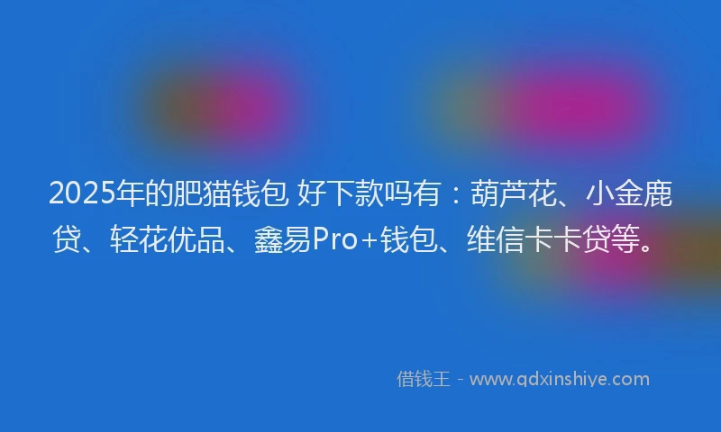 2025年的肥猫钱包 好下款吗有：葫芦花、小金鹿贷、轻花优品、鑫易Pro+钱包、维信卡卡贷等。