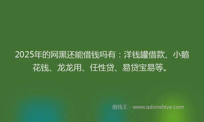 2025年的网黑还能借钱吗有：洋钱罐借款、小鹅花钱、龙龙用、任性贷、易贷宝易等。