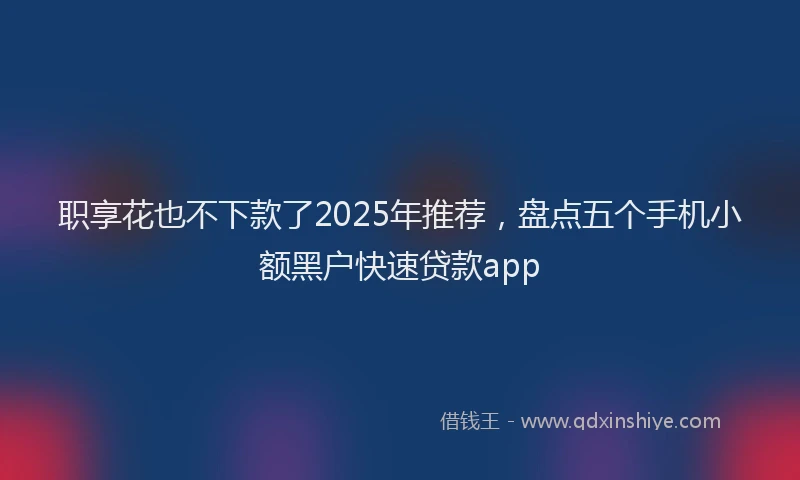 职享花也不下款了2025年推荐，盘点五个手机小额黑户快速贷款app