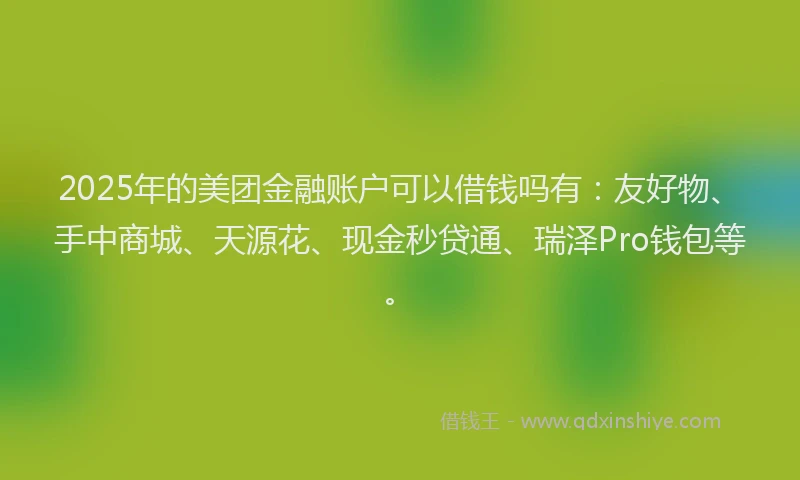 2025年的美团金融账户可以借钱吗有：友好物、手中商城、天源花、现金秒贷通、瑞泽Pro钱包等。