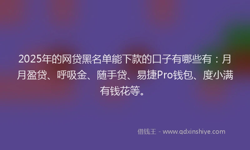 2025年的网贷黑名单能下款的口子有哪些有：月月盈贷、呼吸金、随手贷、易捷Pro钱包、度小满有钱花等。