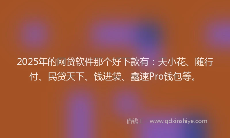 2025年的网贷软件那个好下款有：天小花、随行付、民贷天下、钱进袋、鑫速Pro钱包等。
