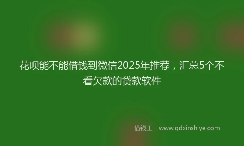 花呗能不能借钱到微信2025年推荐，汇总5个不看欠款的贷款软件