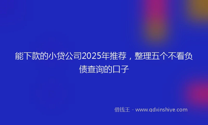 能下款的小贷公司2025年推荐，整理五个不看负债查询的口子