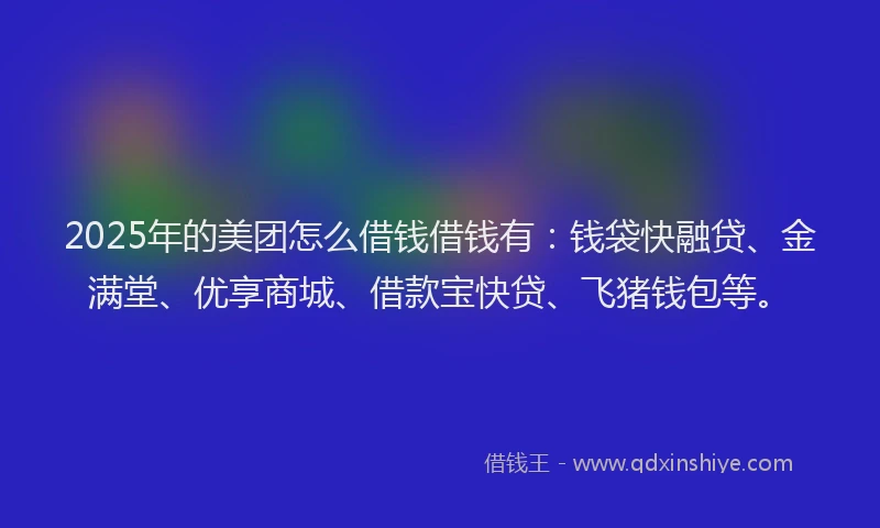 2025年的美团怎么借钱借钱有：钱袋快融贷、金满堂、优享商城、借款宝快贷、飞猪钱包等。