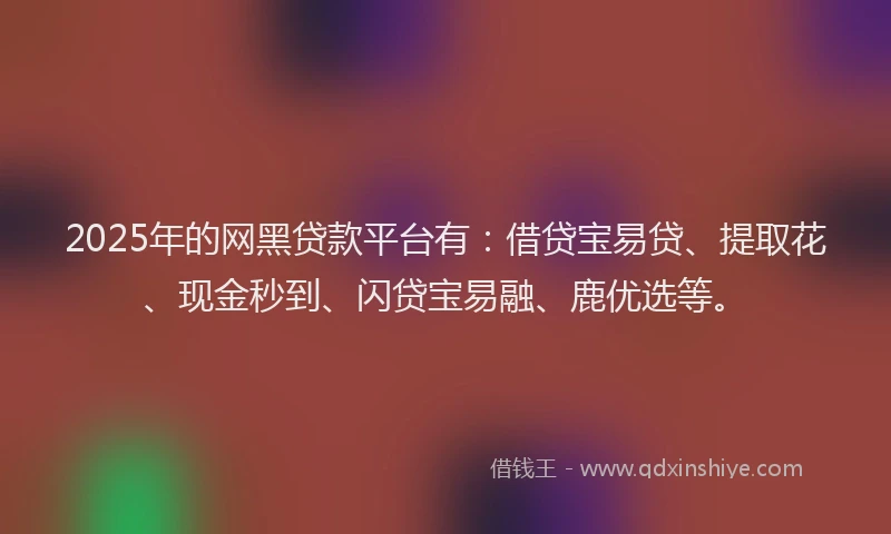 2025年的网黑贷款平台有：借贷宝易贷、提取花、现金秒到、闪贷宝易融、鹿优选等。