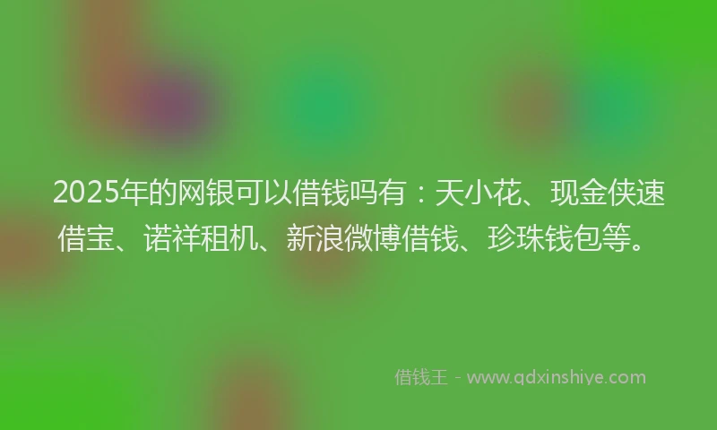 2025年的网银可以借钱吗有：天小花、现金侠速借宝、诺祥租机、新浪微博借钱、珍珠钱包等。