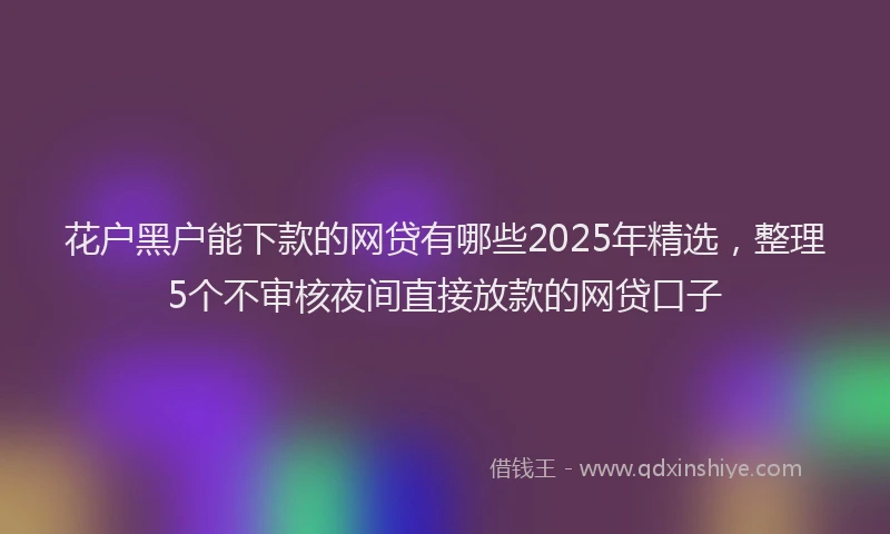 花户黑户能下款的网贷有哪些2025年精选，整理5个不审核夜间直接放款的网贷口子