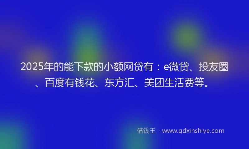 2025年的能下款的小额网贷有：e微贷、投友圈、百度有钱花、东方汇、美团生活费等。