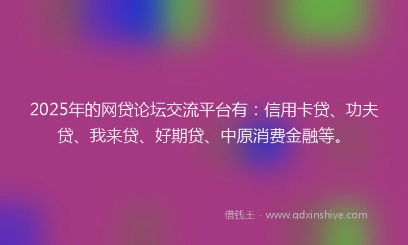 2025年的网贷论坛交流平台有：信用卡贷、功夫贷、我来贷、好期贷、中原消费金融等。