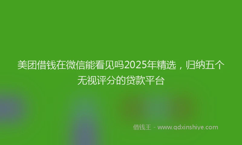 美团借钱在微信能看见吗2025年精选，归纳五个无视评分的贷款平台