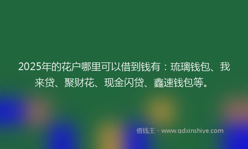2025年的花户哪里可以借到钱有：琉璃钱包、我来贷、聚财花、现金闪贷、鑫速钱包等。